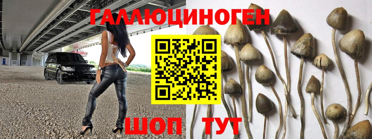 Галлюциногенные грибы прущие грибы Зеленогорск